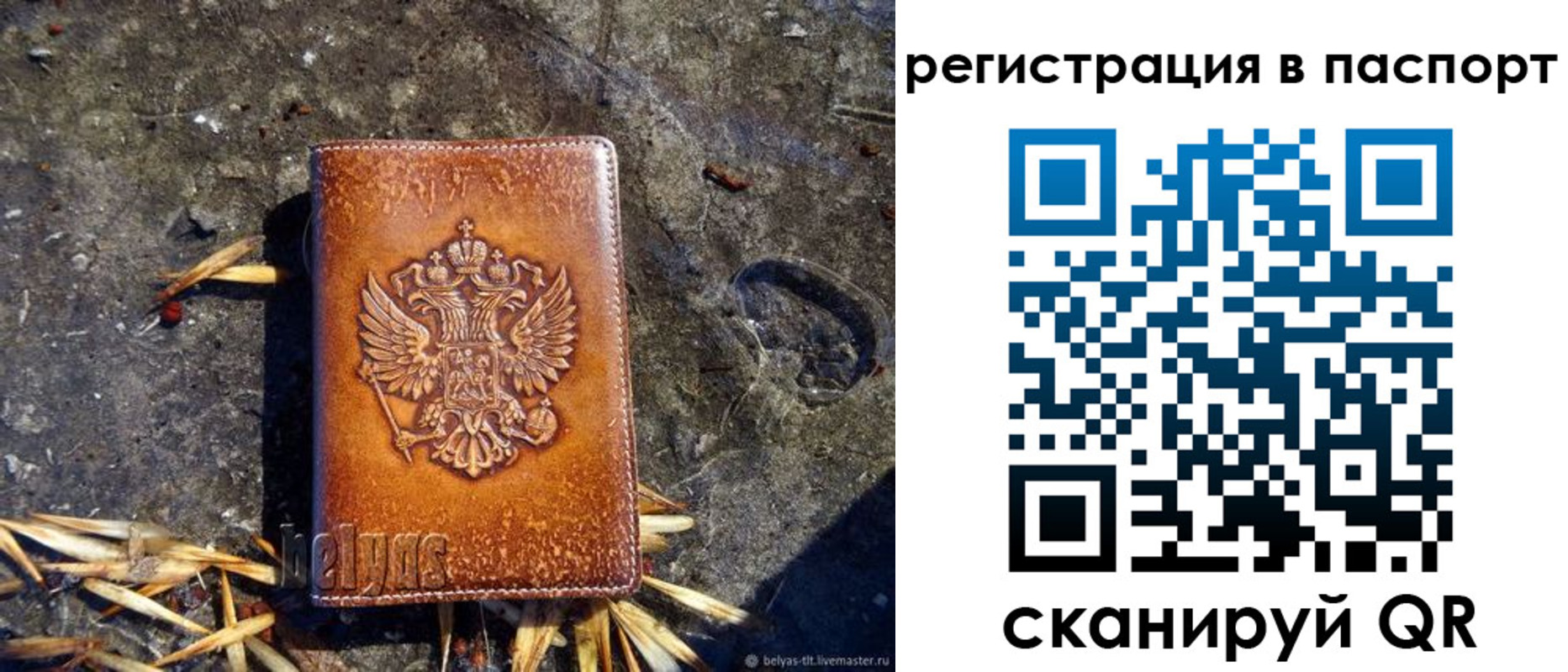 где прописаться в Домодедово